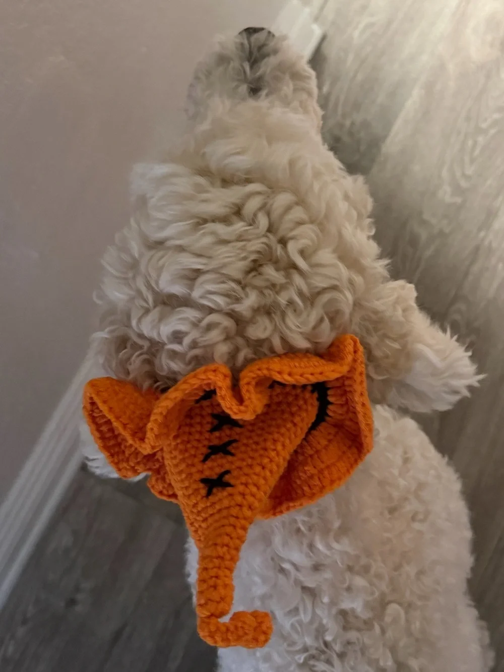 Orange Crochet Witch Hat Dog Costume - Pet Halloween Accessory New!
